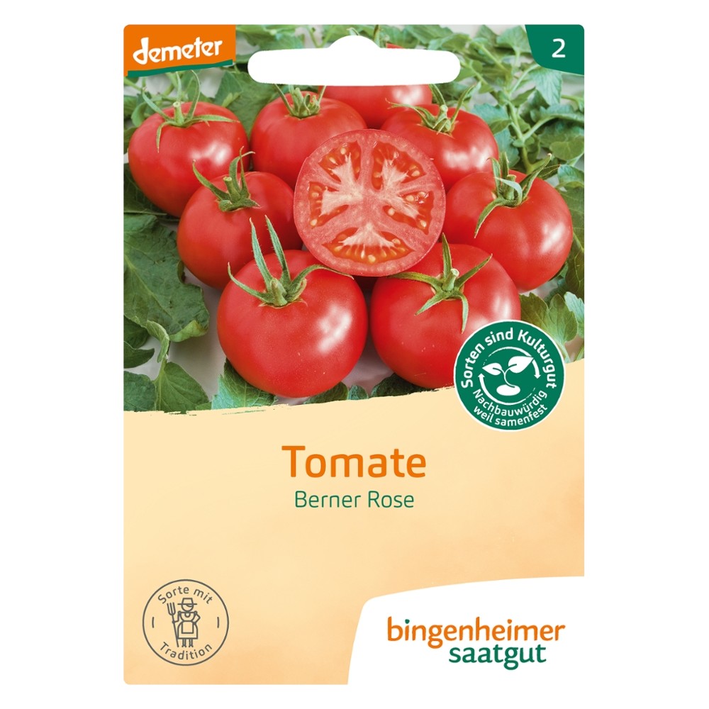 Tomate Berner Rose // Bingenheimer Saatgut