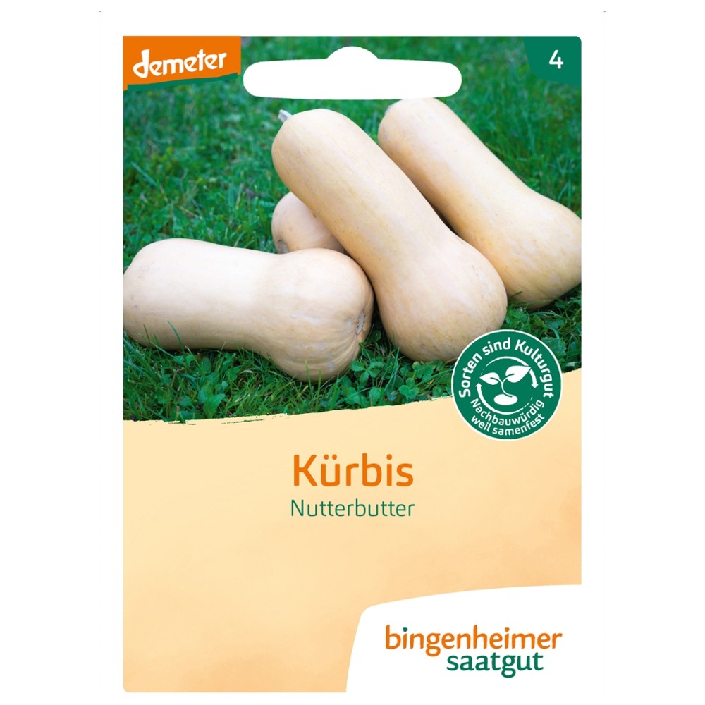 Kürbis Nutterbutter // Bingenheimer Saatgut