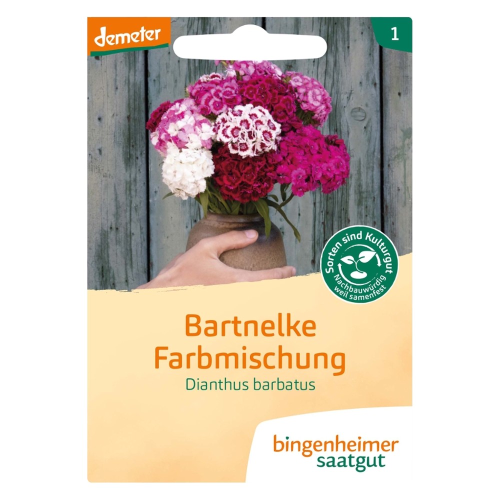 Bartnelke, Farbmischung // Bingenheimer Saatgut