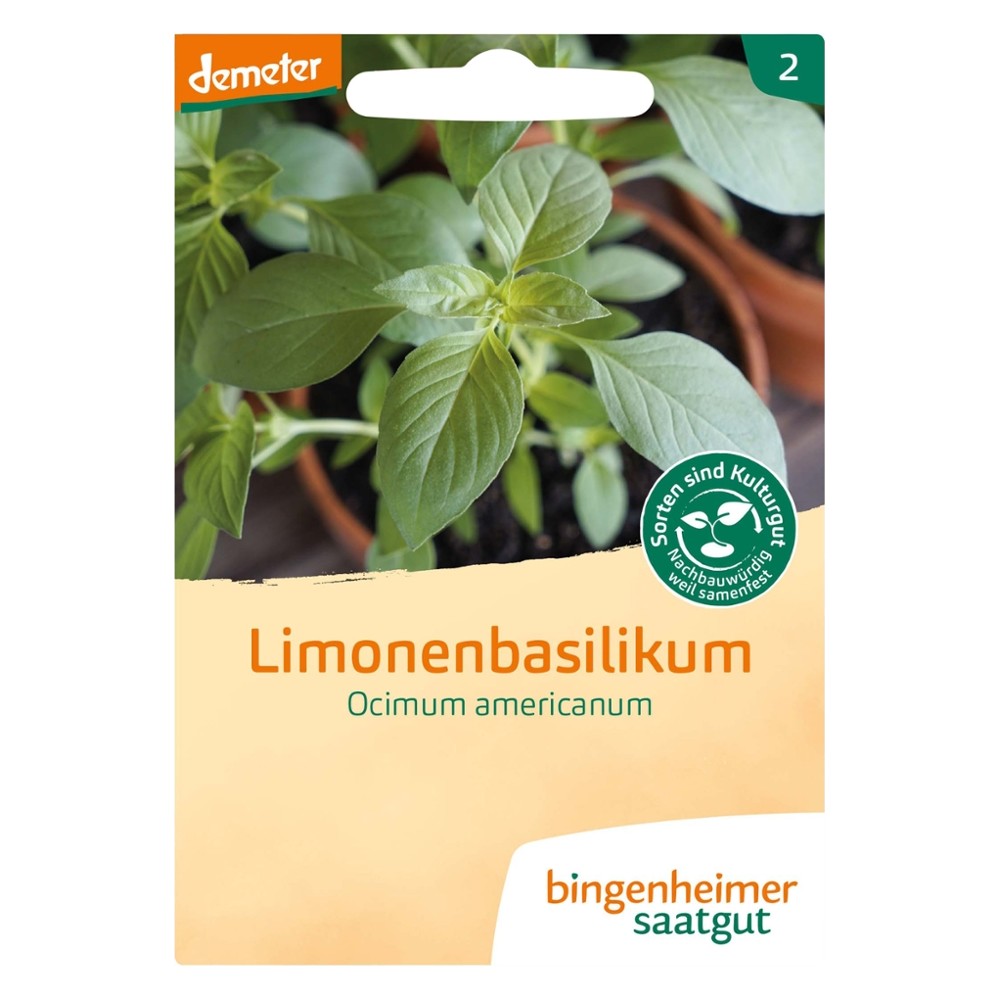 Limonenbasilikum // Bingenheimer Saatgut