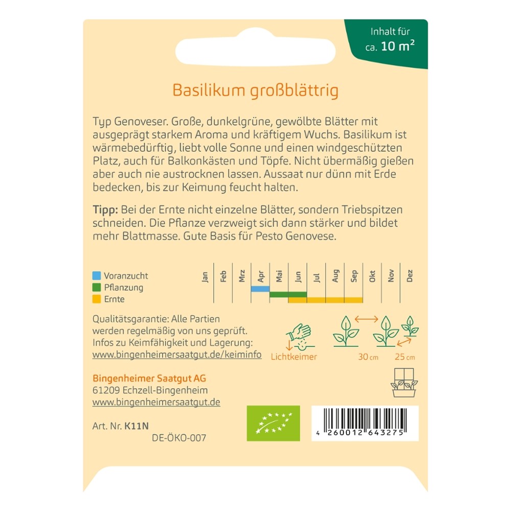 Basilikum großblättrig // Bingenheimer Saatgut