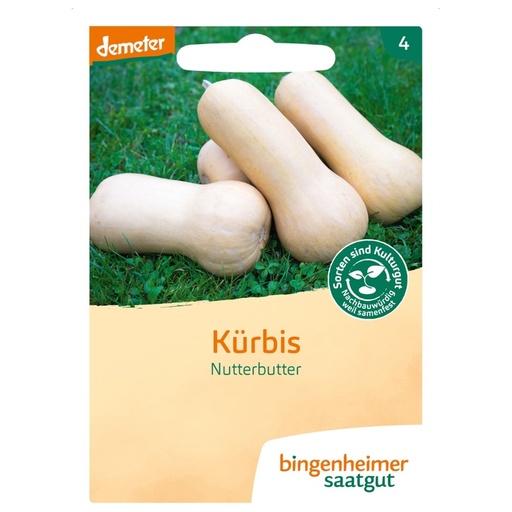 [ex521703] Kürbis Nutterbutter // Bingenheimer Saatgut