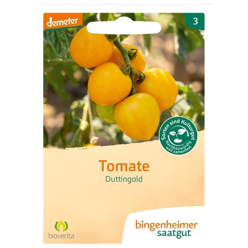 [521677] Tomate Duttingold // Bingenheimer Saatgut